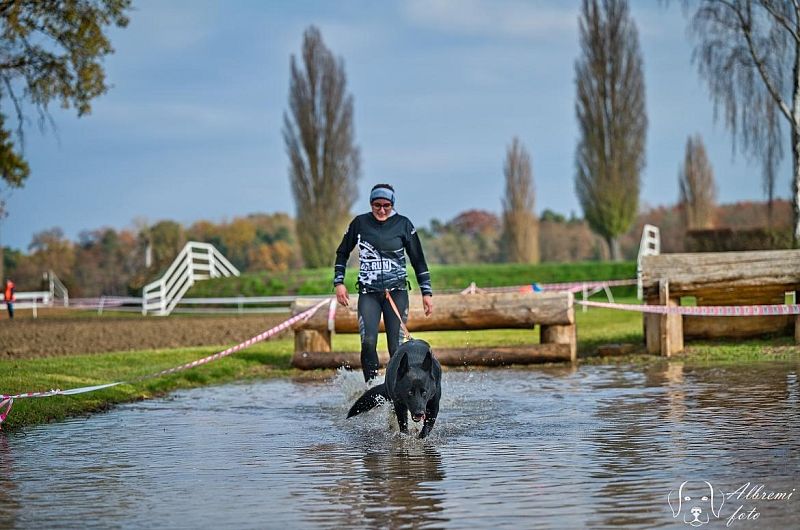 Extreme dog race Steeplechase 16.11.2024