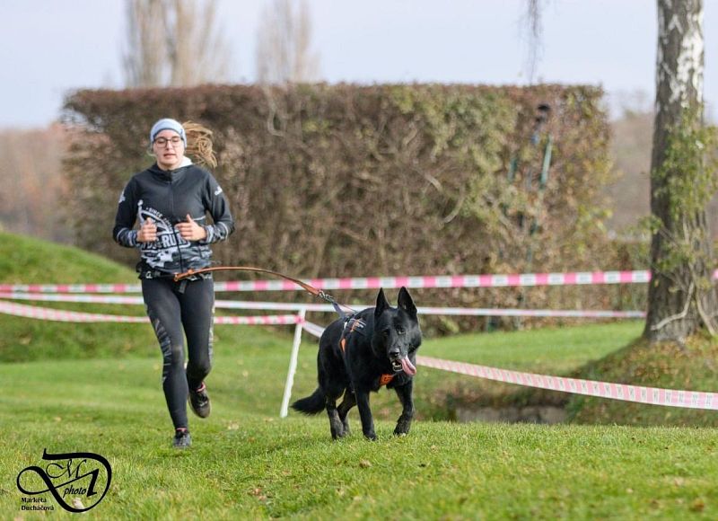 Extreme dog race Steeplechase 16.11.2024