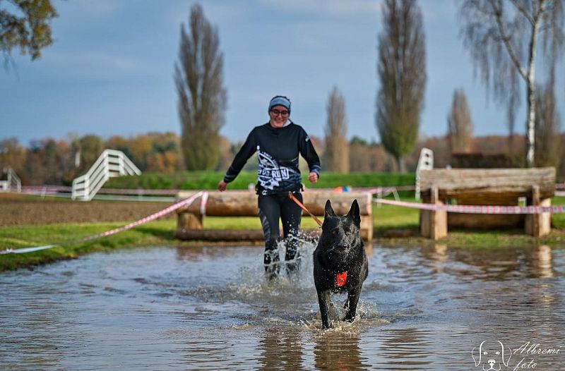 Extreme dog race Steeplechase 16.11.2024