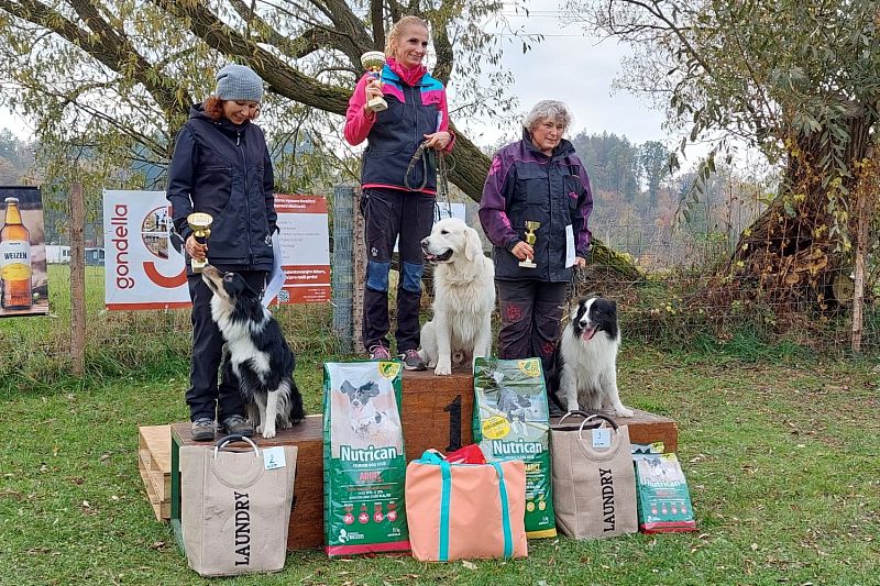 O Pohár 28. října Náchod 26.10.2024