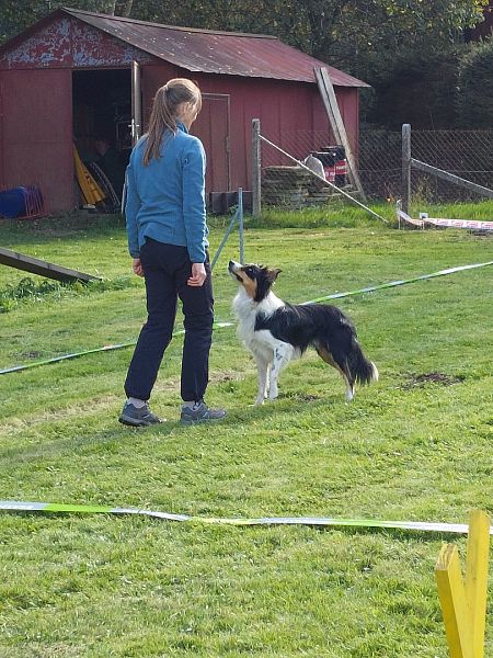 Postupové zkoušky DogDancingu 12.10.2024